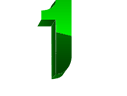 1 Solution